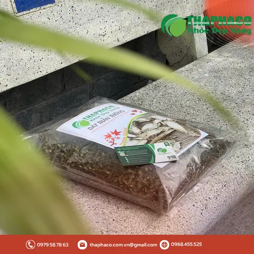 Dây Thần Thông sau khi sơ chế và làm sạch