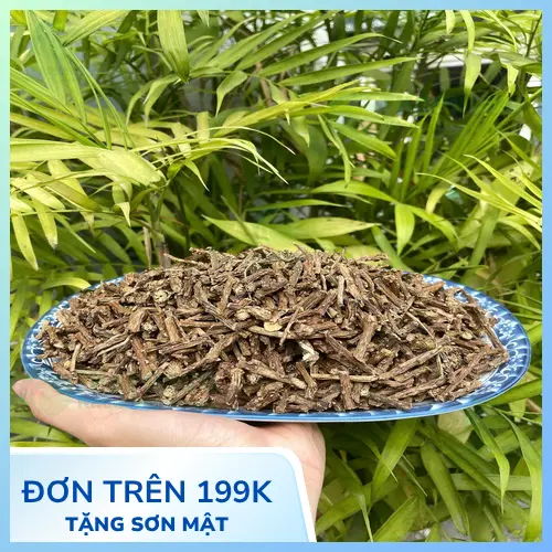 Lát cắt ngang của dây thần thông thật với cấu trúc lõi rõ ràng