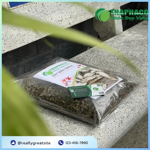 Hướng dẫn sơ chế Dây Thần Thông trước khi sử dụng