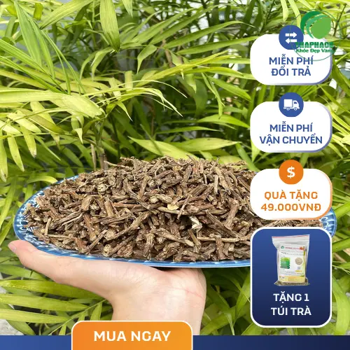 Dây Thần Thông đã được thái lát và phơi khô