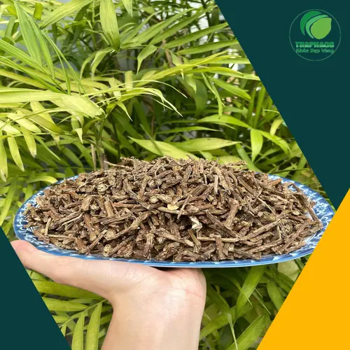 Cách bảo quản Dây Thần Thông khô đúng chuẩn