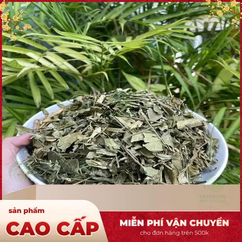 Dây thìa canh tươi nguyên bản từ THAPHACO, sẵn sàng cho việc chế biến