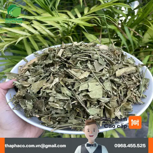 Quy trình chế biến Dây Thìa Canh THAPHACO hiện đại