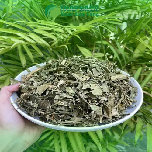 Dây thìa canh sấy khô nguyên chất Thảo Dược Tươi THAPHACO