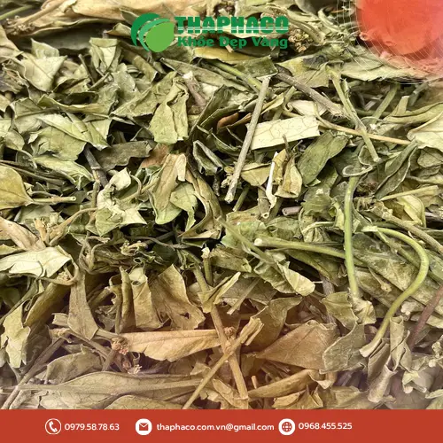 Dây thìa canh sấy khô sẵn sàng sử dụng