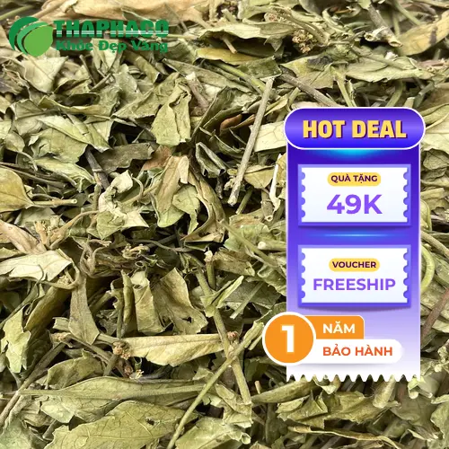 Quy trình chế biến dây thìa canh khô đảm bảo vệ sinh, chất lượng