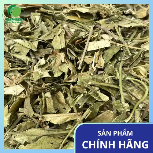 Phản hồi tích cực từ người dùng về hiệu quả của dây thìa canh