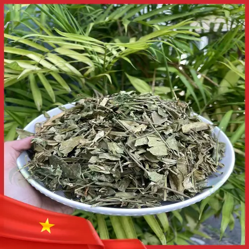 Thành phẩm trà dây thìa canh tiện lợi