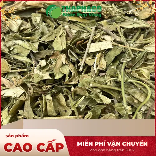 Dây thìa canh chất lượng từ Thảo Dược Tươi THAPHACO