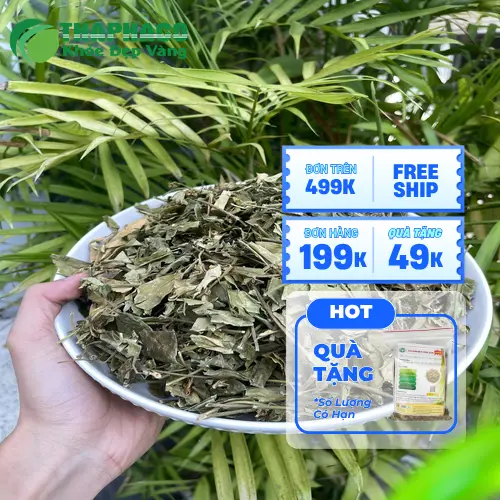 Sản phẩm Dây thìa canh đóng gói tại Thảo Dược Tươi THAPHACO