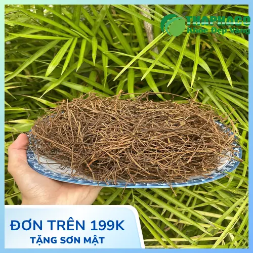 Dây tơ hồng tươi THAPHACO chất lượng cao