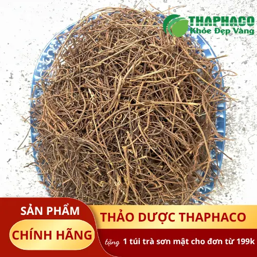 Hình ảnh cây dây tơ hồng tươi, thân dây leo mỏng manh màu vàng cam