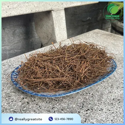 Hình ảnh dây tơ hồng đã được sơ chế và phơi khô, sạch sẽ và đảm bảo chất lượng
