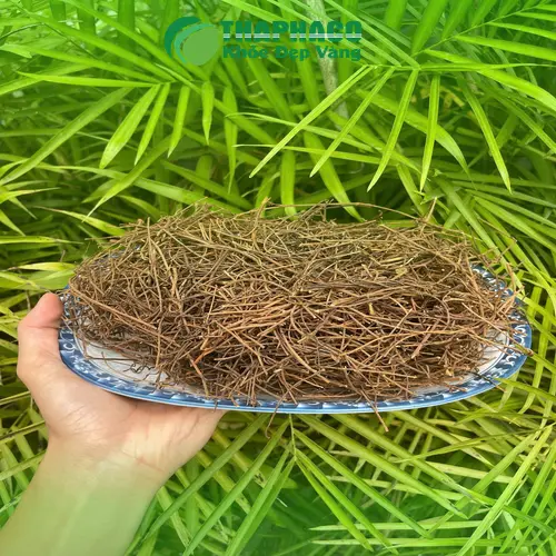 Cách dùng dây tơ hồng đúng cách và an toàn