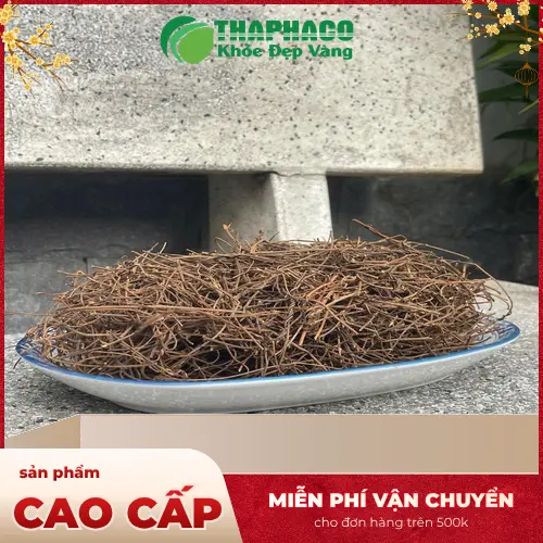 Dây tơ hồng giá tốt tại THAPHACO kèm khuyến mãi