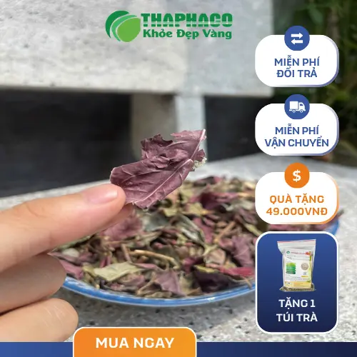 Lá dơn đỏ tươi nguyên bản từ Thảo Dược Tươi