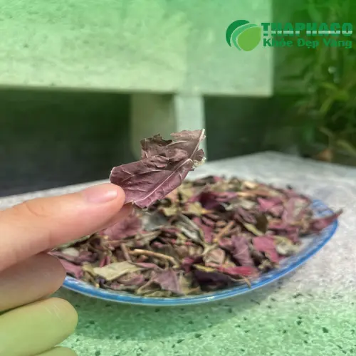 Lá đơn đỏ tươi nguyên chất Thảo Dược Tươi THAPHACO