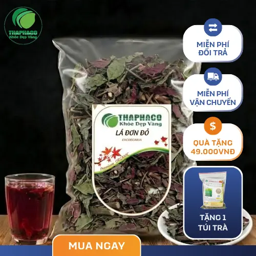 Lá Đơn Đỏ Sấy Khô THAPHACO đạt chuẩn sạch xanh