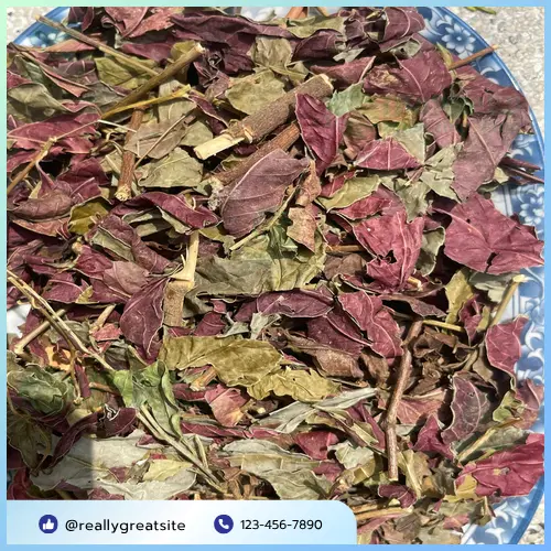 Lá Đơn Đỏ Sấy Khô THAPHACO hỗ trợ nhiều bệnh