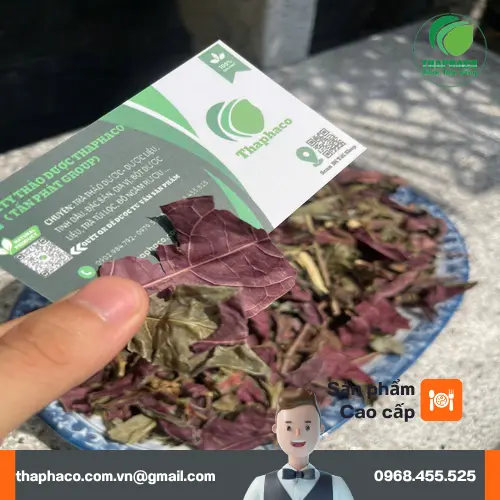 Hướng dẫn pha trà lá đơn đỏ sấy khô