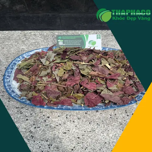 Lá dơn đỏ sấy khô THAPHACO được đóng gói cẩn thận