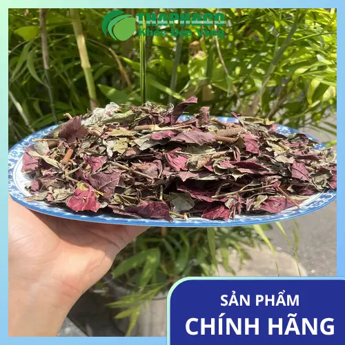 Bảo quản lá đơn đỏ sấy khô để giữ chất lượng