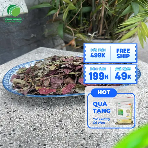 Lá dơn đỏ khô chất lượng cao của THAPHACO