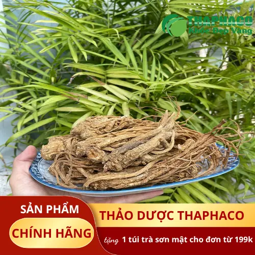 Hình ảnh lát cắt đương quy phơi khô