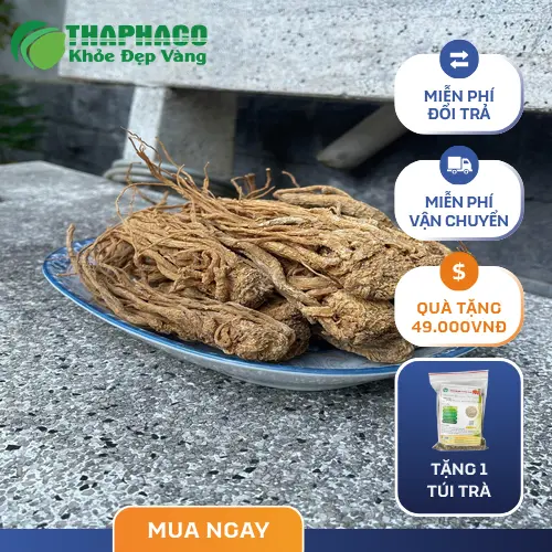 Hình ảnh rễ đương quy khô được sơ chế