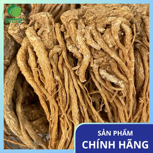 Cận cảnh các lát đương quy khô được sắp xếp ngăn nắp, thể hiện chất lượng và sự chuẩn bị cẩn thận