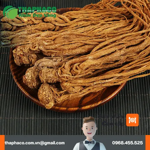 Đương quy khô được đóng gói cẩn thận, bảo quản trong môi trường sạch sẽ