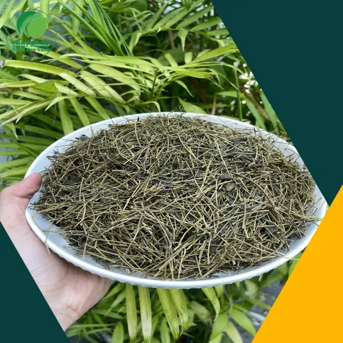 Tác dụng của giảo cổ lam đối với chức năng gan