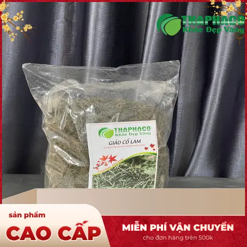 Giảo Cổ Lam khô chất lượng cao tại THAPHACO
