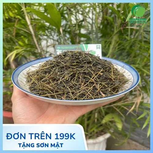 Giảo cổ lam THAPHACO - Chất lượng vượt trội, hàm lượng hoạt chất cao