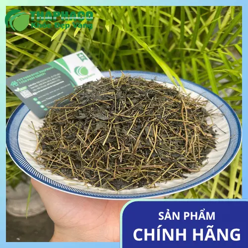 Tác dụng phụ và chống chỉ định của giảo cổ lam