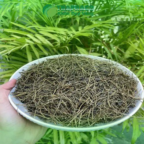 Công dụng đa dạng của giảo cổ lam chất lượng cao