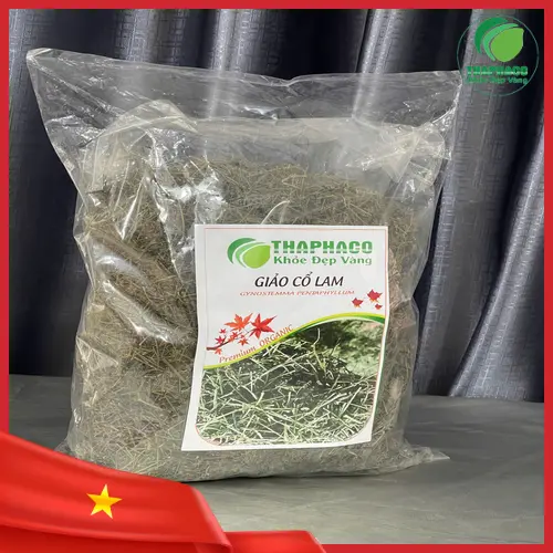 Mua giảo cổ lam chất lượng cao tại THAPHACO