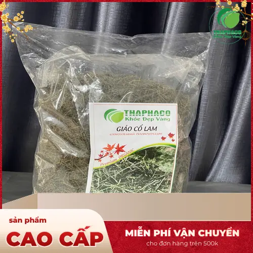 Bảo quản Giảo Cổ Lam khô đúng cách tại THAPHACO