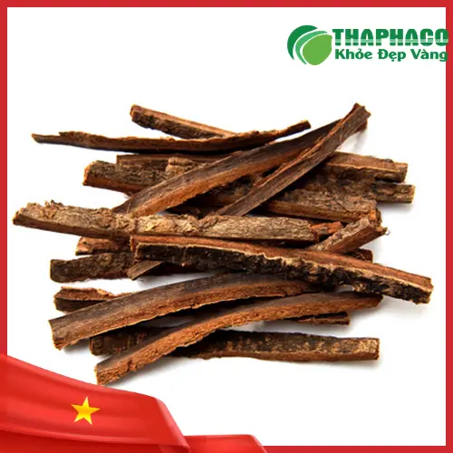Hình ảnh cây Hậu phác với vỏ cây đặc trưng