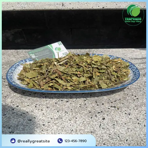 Trà Hoàn Ngọc tươi nguyên chất từ Thảo Dược Tươi THAPHACO