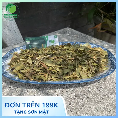 Cây hoàn ngọc tươi THAPHACO chất lượng cao
