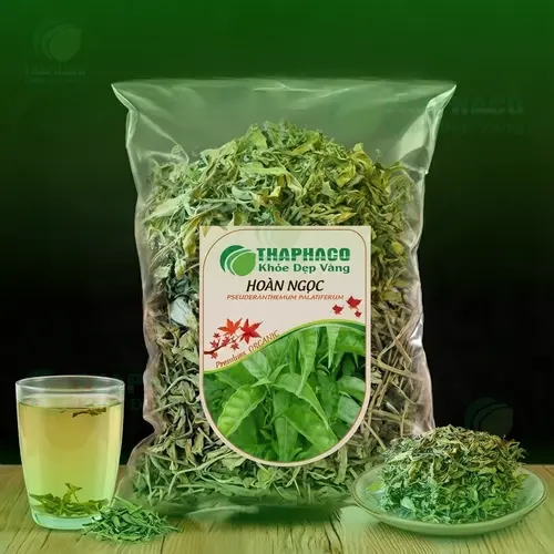 Hình ảnh cây Hoàn Ngọc tươi đang được thu hoạch và chọn lọc kỹ lưỡng bởi Thảo Dược Tươi THAPHACO