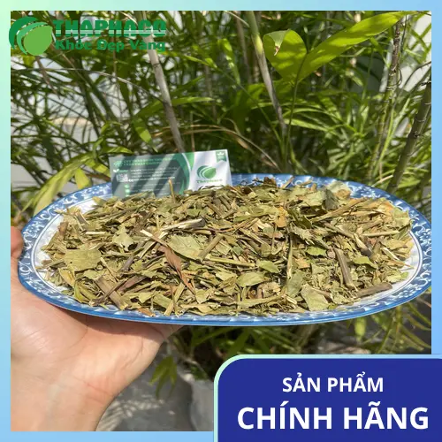 Nguyên liệu hoàn ngọc khô chuẩn bị pha trà