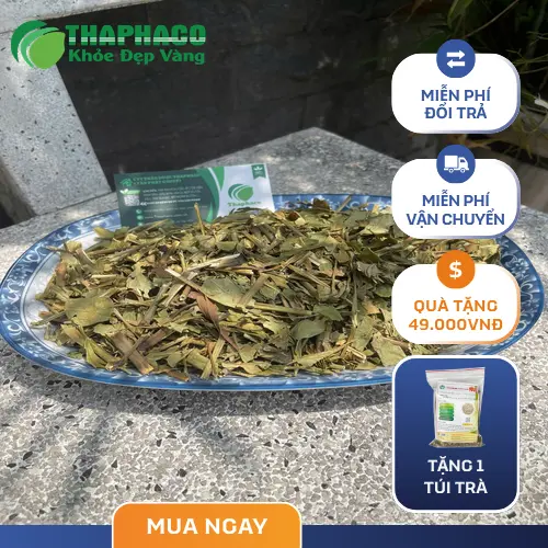 Tách trà Hoàn Ngọc thơm ngon, tốt cho sức khỏe đang được thưởng thức
