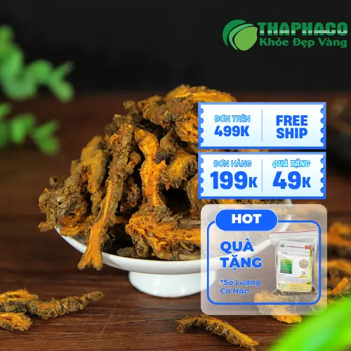 Hoàng liên sấy khô chất lượng cao từ Thảo Dược Tươi THAPHACO