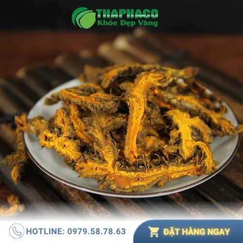 Hoàng liên nguyên chất tươi THAPHACO