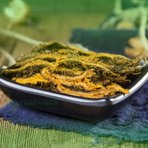 Đóng gói 1kg hoàng liên sấy khô chất lượng cao