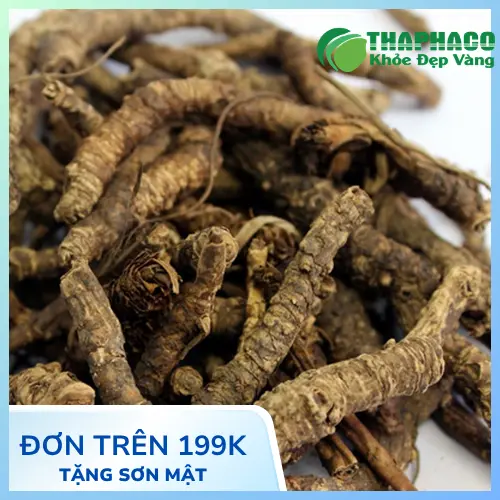 Cấu trúc bên trong hoàng liên