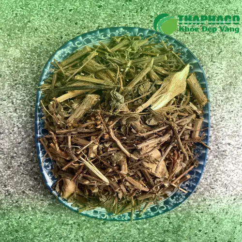 Hình ảnh cây Hương Nhu tươi xanh mơn mởn