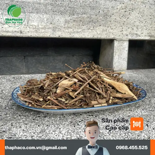 Hương nhu khô chất lượng cao từ Thảo Dược Tươi THAPHACO